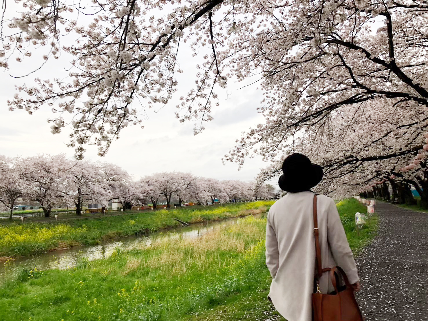 朝霞の街で日々の暮らしを楽しむ人の様子